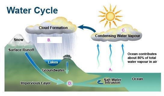 Referring to this diagram, which letter represents evaporation? A B C D-example-1