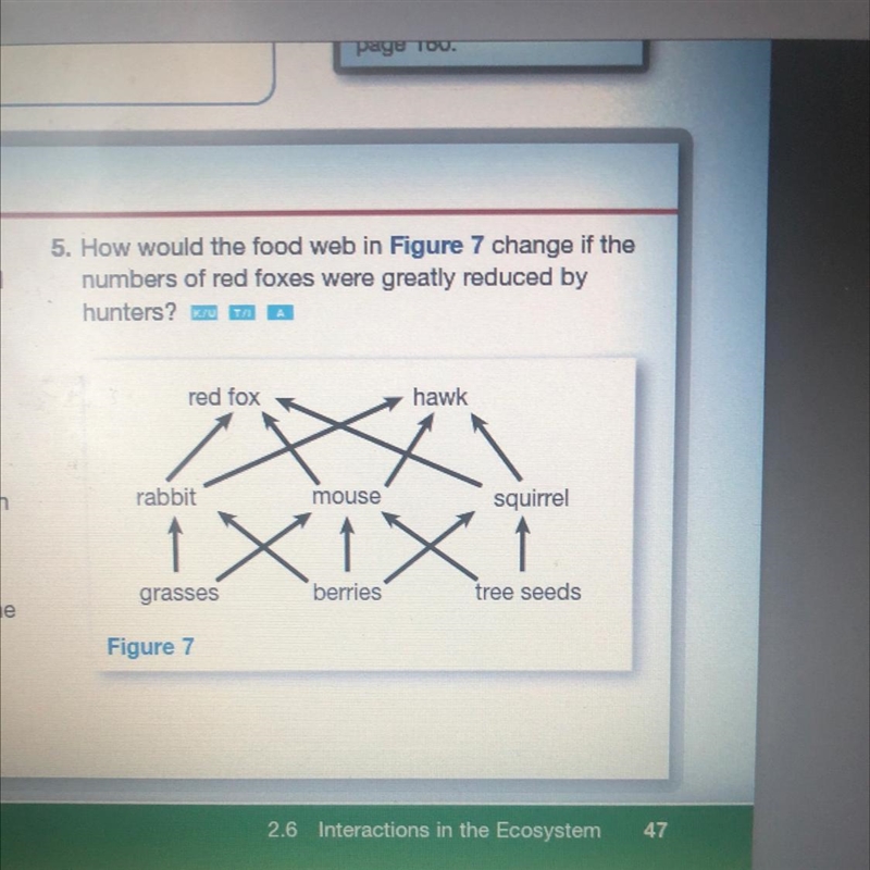 5. How would the food web in Figure 7 change if the numbers of red foxes were greatly-example-1