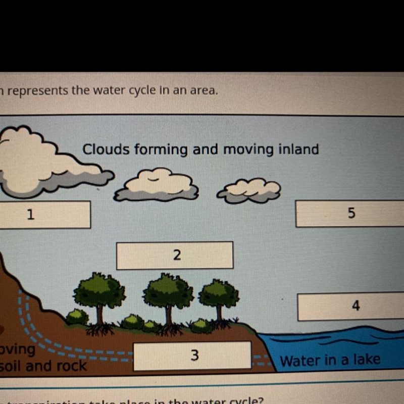 Where does the transpiration take place in the water cycle-example-1