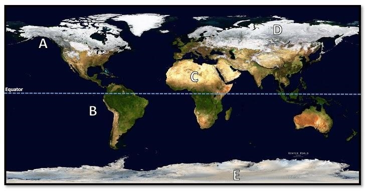 Which spots in this picture show where either a Continental Polar (cP) or Continental-example-1