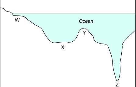 Which letter on the diagram shows the region where coral reefs are most likely to-example-1