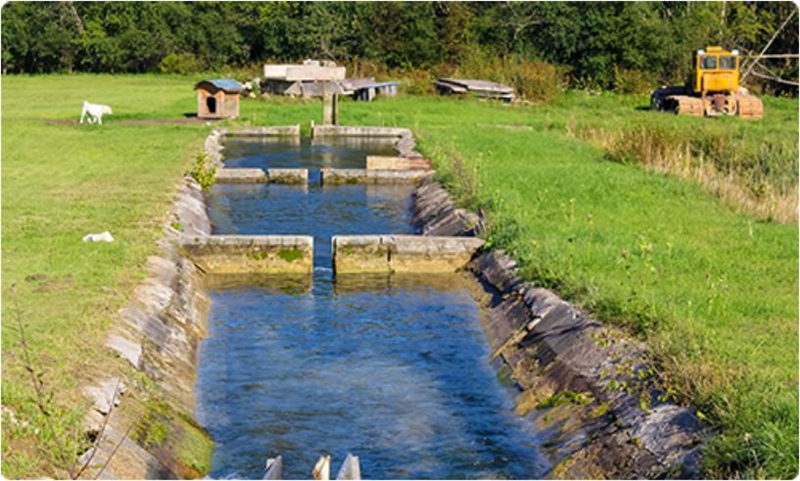 Many farms and ranches use reservoirs, like the one shown here, to collect and store-example-1