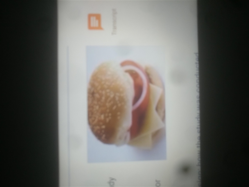 Hhff I WANNA BURGER!-example-1