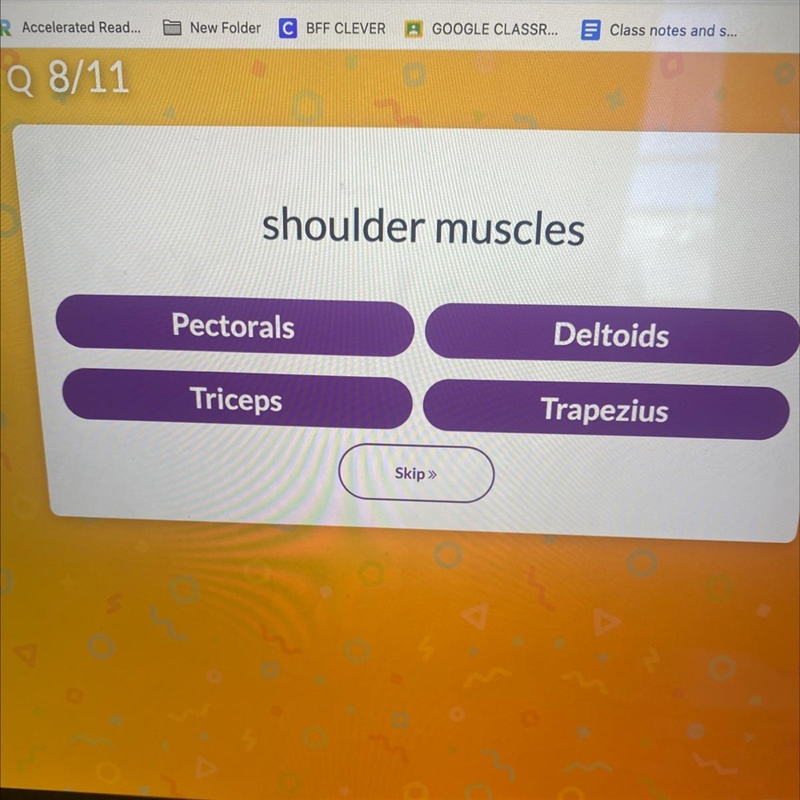 Shoulder muscles Help please 11 points-example-1