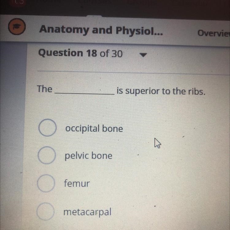 The_____ is superior to the ribs,-example-1