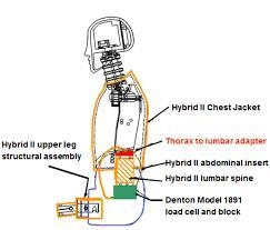 In an event of an emergency how do you assume brace position? ("what should you-example-1