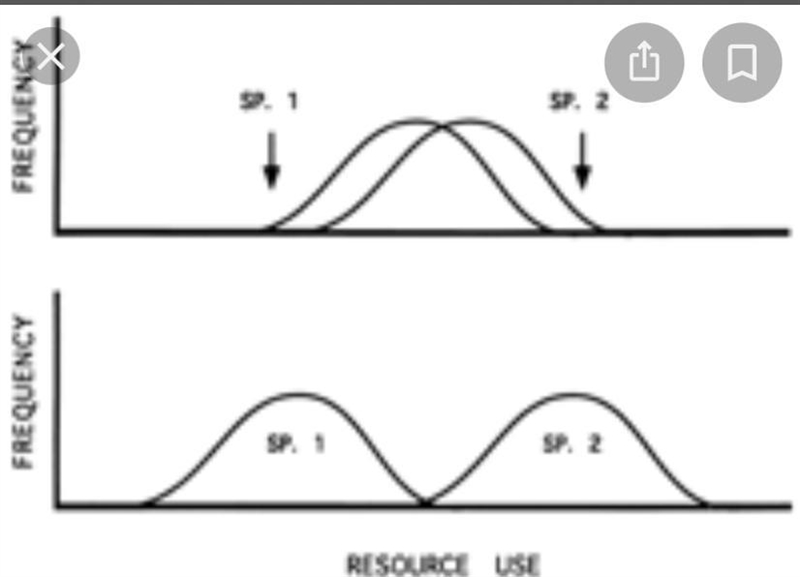 Define displacement in characteristics-example-1