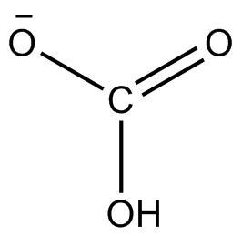 Which carries most of the carbon dioxide back to the lungs? O bicarbonate ions O plasma-example-1