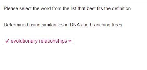 Please select the word from the list that best fits the definition Determined using-example-1