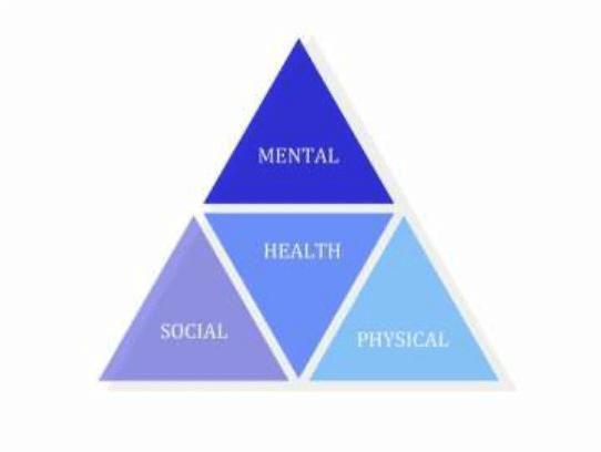 HELPPPPPPPPPPPPPPPPPPPMental and emotional health is one component of the health triangle-example-1