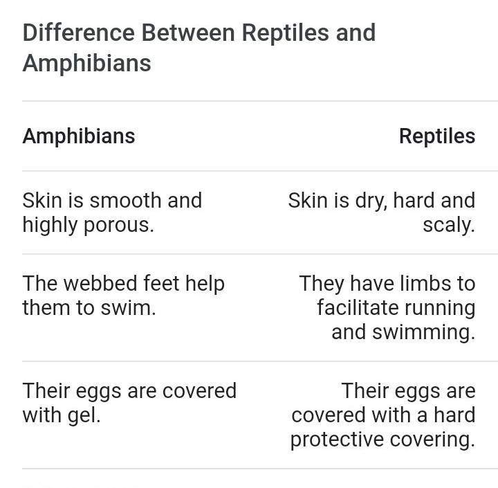 Help me please amphibians and reptiles difference between ​-example-1