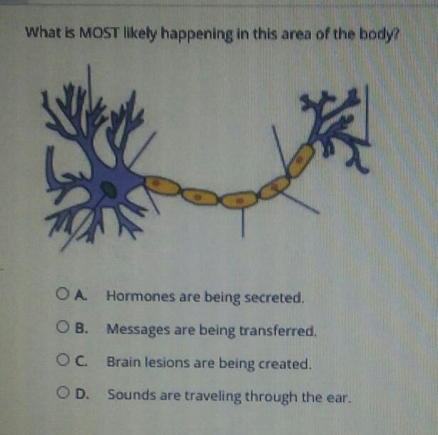 Hey, can someone help me with this question? (psychology) what is MOST likely happening-example-1