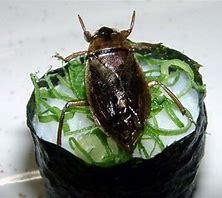 Why did I find cockroaches in sushi? A. It's in a pink plastic sealed container in-example-2