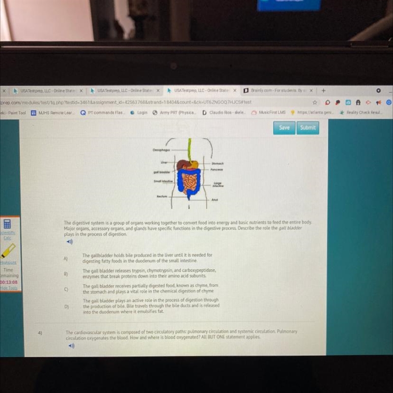 The digestive system is a group of organs working together to convert food into energy-example-1