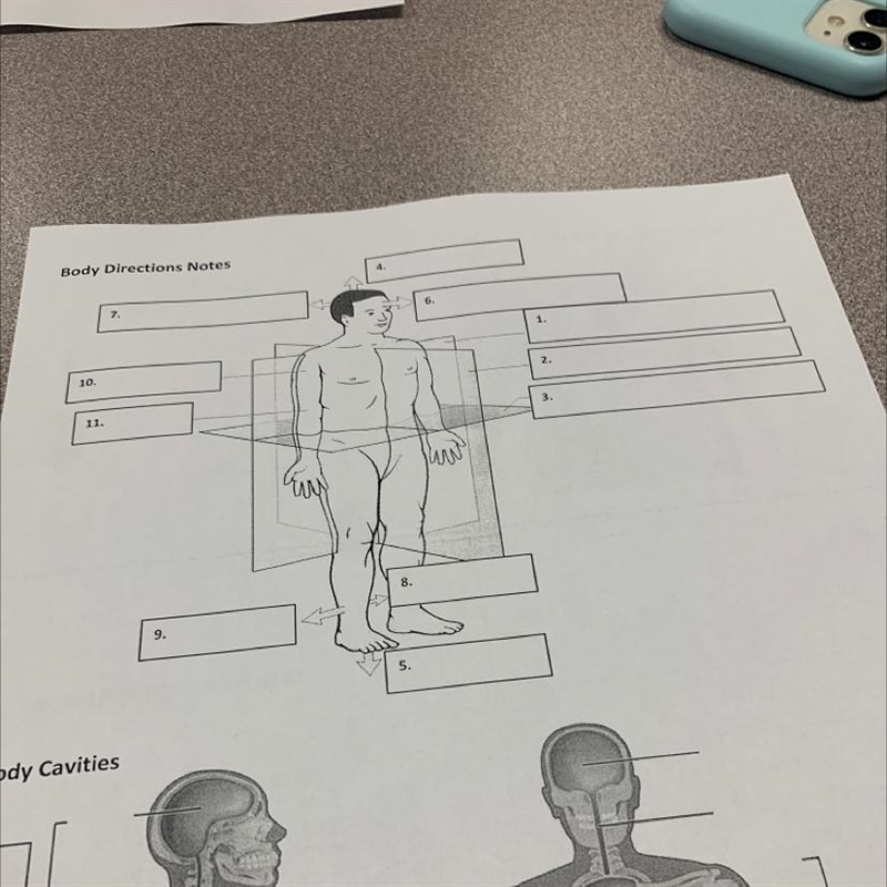 Body Directions Notes 4. 6. 3 1. 10. 2. 11. 3. Suw 8. 9. 5.-example-1