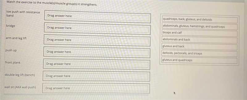 Match the exercise to the muscles it strengthens. PLS HELP-example-1