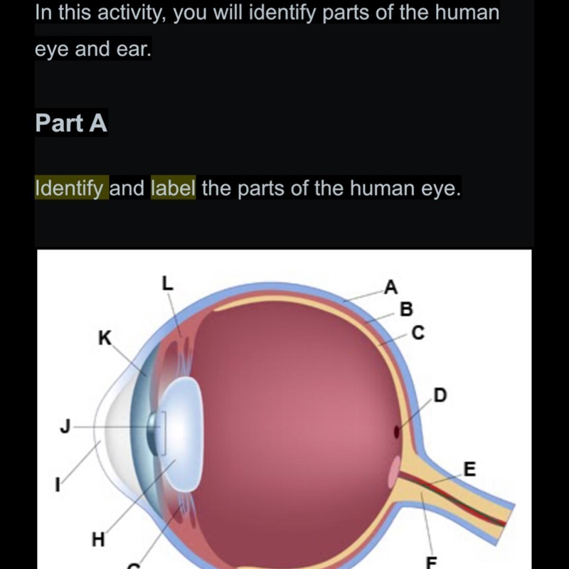 Identify and label the parts of the human eye? Subject: Anatomy-example-1