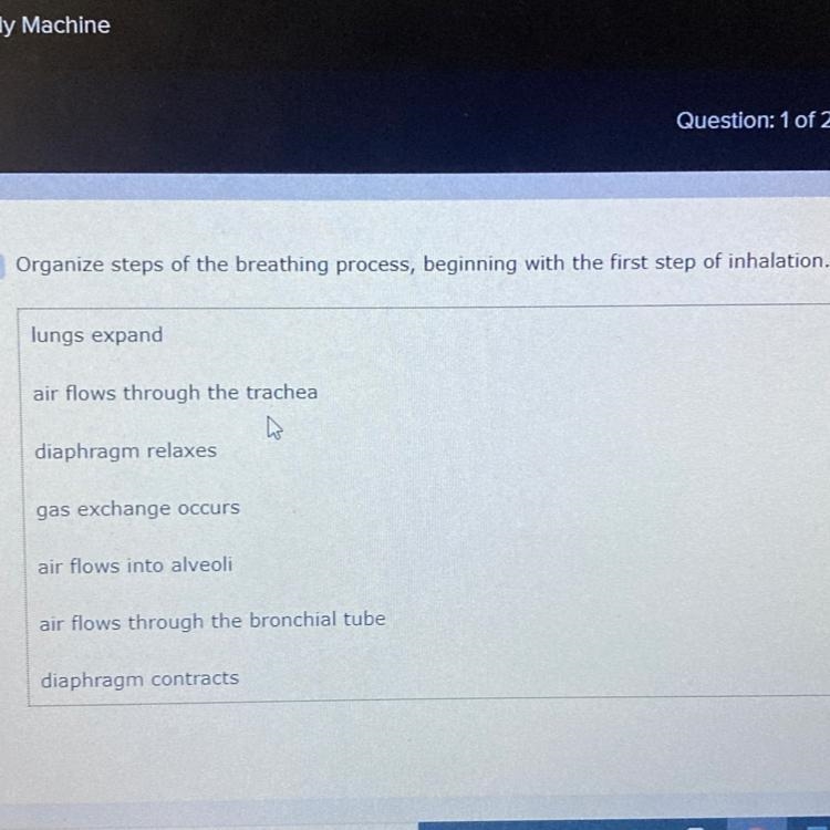 Organize steps of the breathing process-example-1