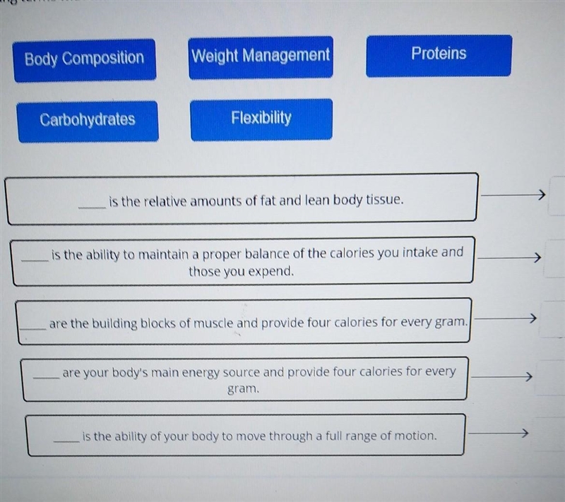 Is the relative amounts of fat and lean body tissue is the ability to maintain a proper-example-1