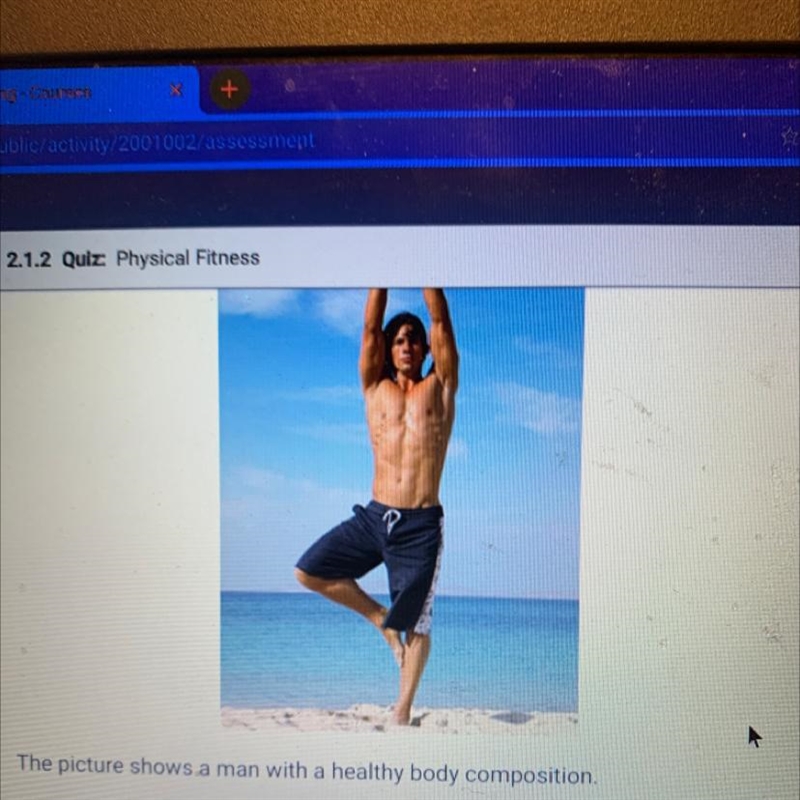 The picture shows a man with a healthy body composition. A. True B. False PREVIOUS-example-1