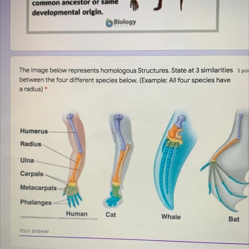 The image below represents homologous Structures. State at 3 similarities 3 points-example-1