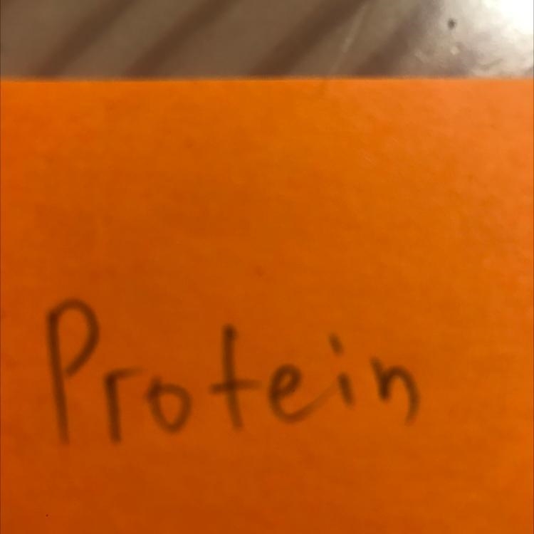 What is the purpose of protein in sport?-example-1