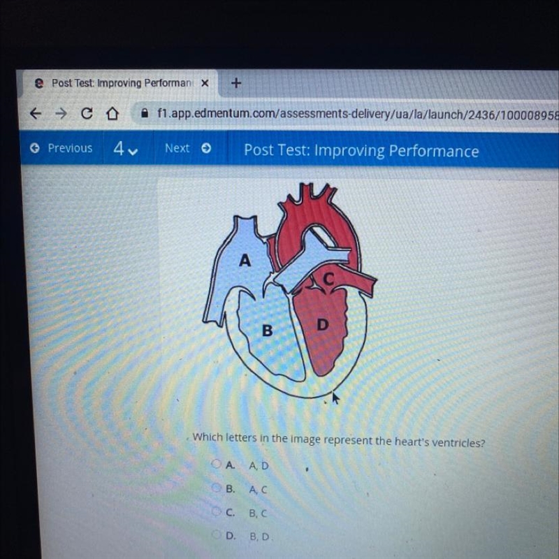 Which leters in the image represent the heart's ventricles? A. A, D B. A, C C. B, C-example-1