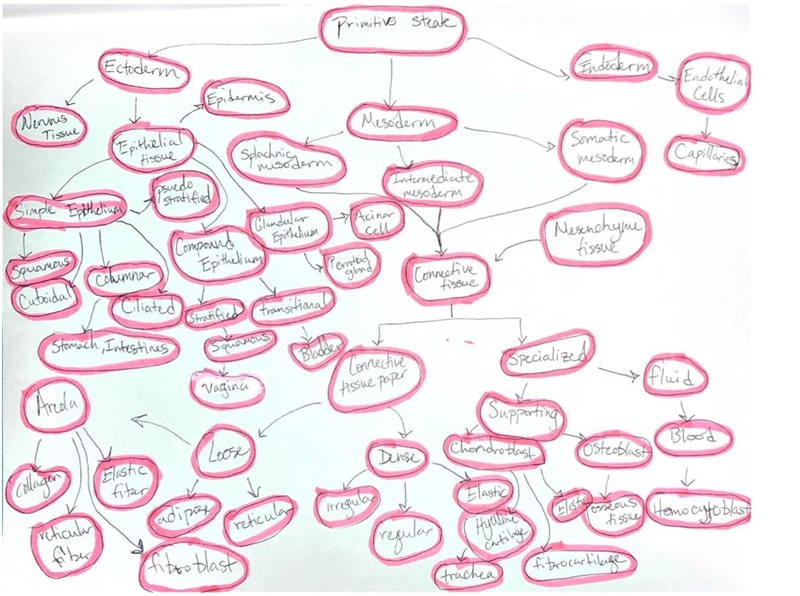 It is time to add more terms to the concept map you have been developing. For this-example-1