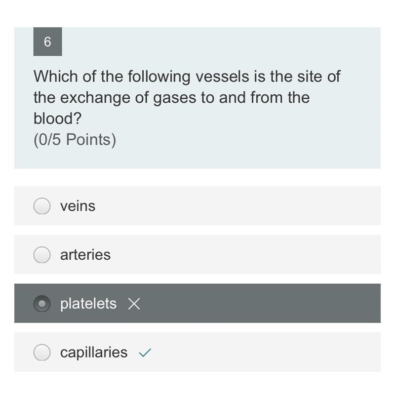 Can u explain why that is the right answer and why i am wrong-example-1