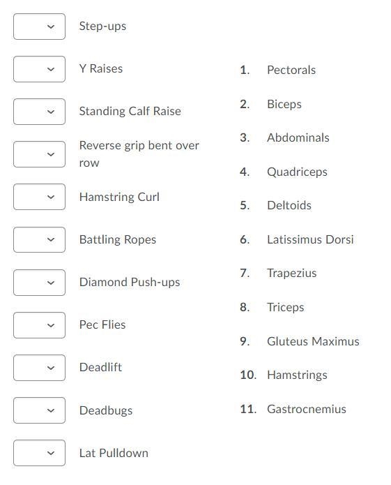 Match the exercise to its proper muscle-example-1