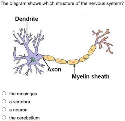 HELP ME HEP M HELP HELP HURRU-example-1