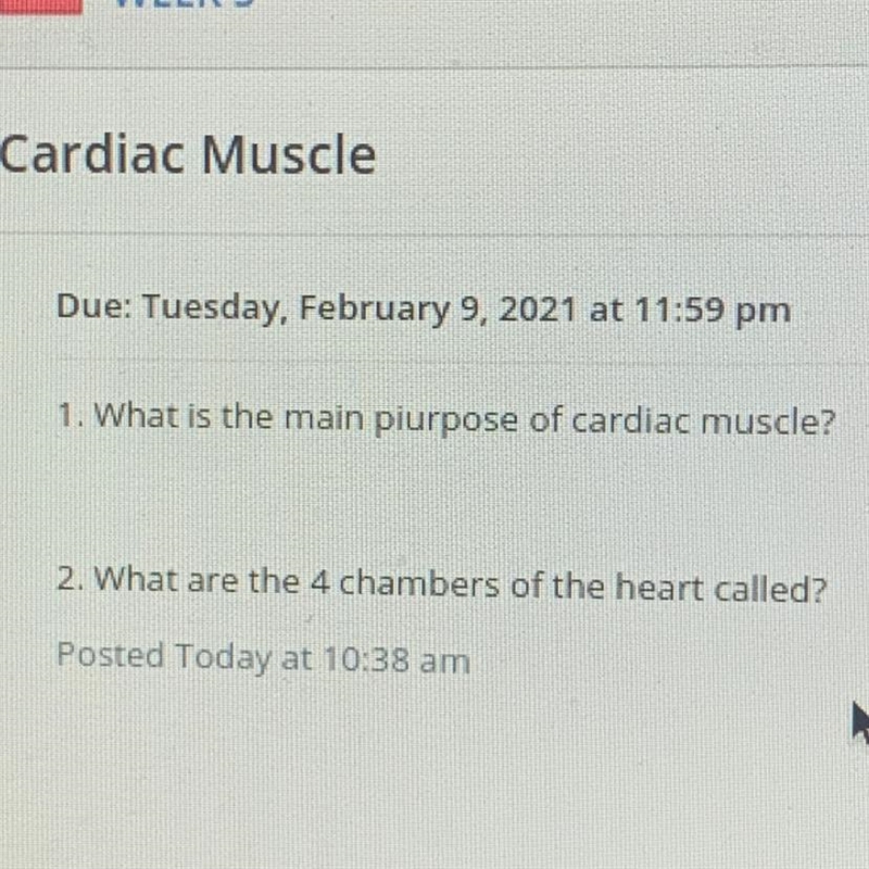 1. What is the main piurpose of cardiac muscle 2. What are the 4 chambers of the heart-example-1