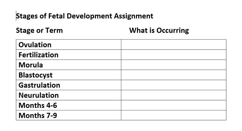 Fetal Development: Can you help me please-example-1