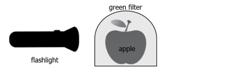 A student conducts an experiment with a green filter. The student places the filter-example-1