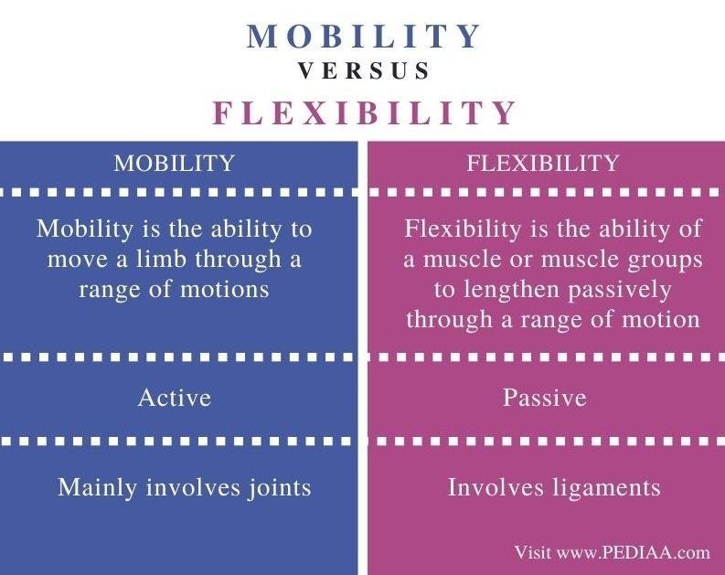 What is the difference between flexibility and Mobility ?-example-1