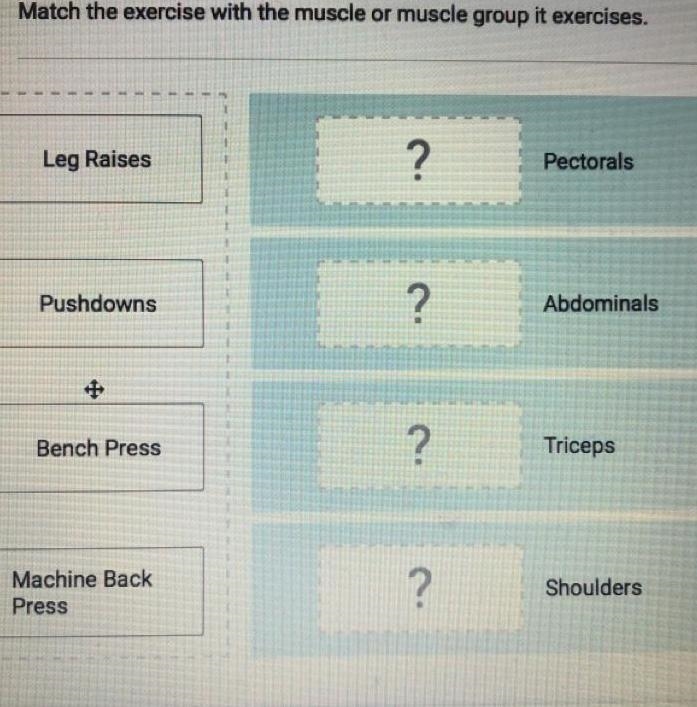 Match the exercise with the muscle or muscle group it exercises.-example-1