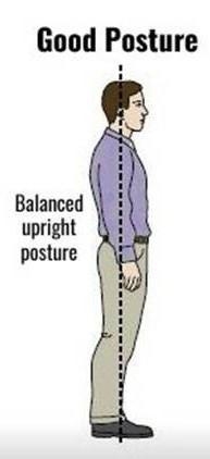 Define the term 'posture'.-example-2