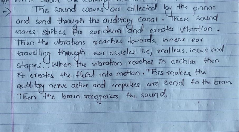 Describe how the outer ear, middle ear, and the inner ear work together to help you-example-1