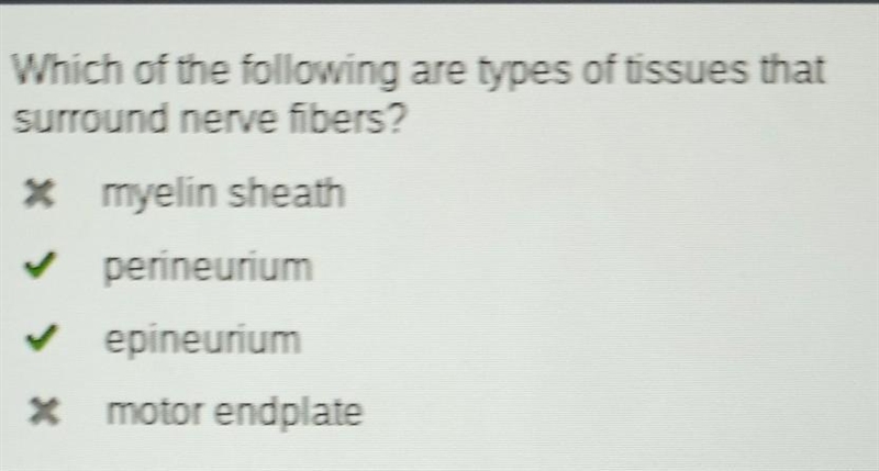 Which of the following are main components of all types of nerves? axon myelin sheath-example-2