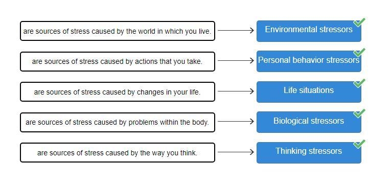 Match the following stressors with the correct definition. Personal Behavior Stressors-example-1