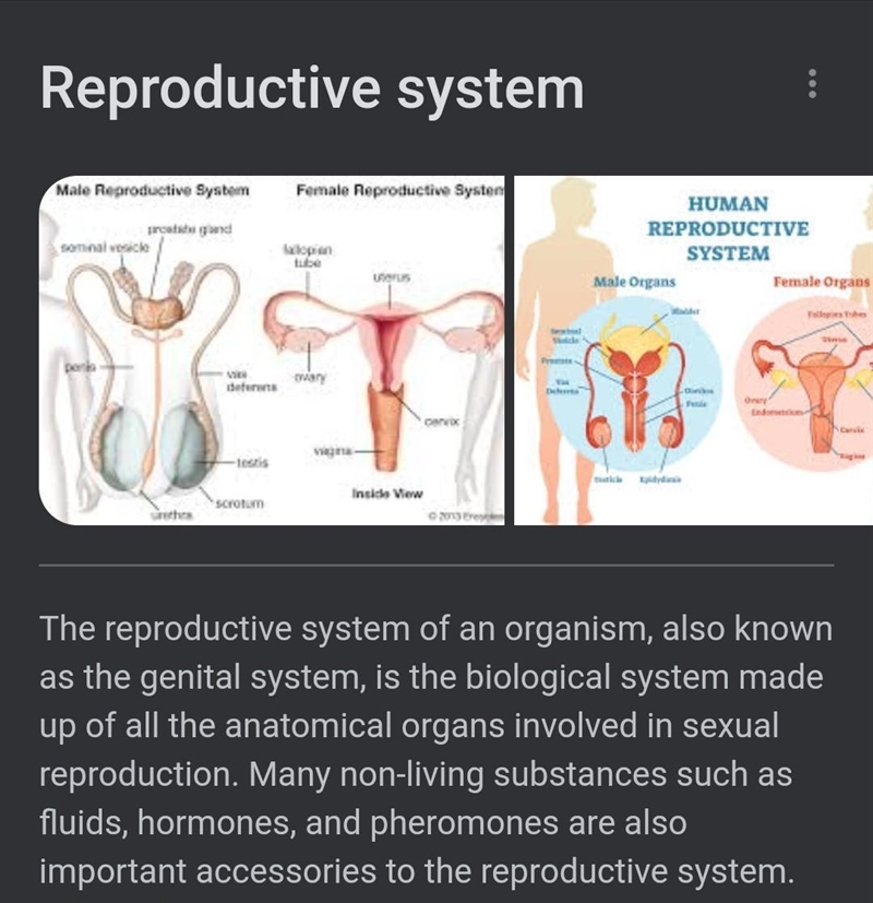 Reproduction system definition ​-example-1