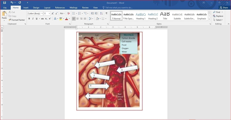 Use the word bank to identify the materials that move between cells and the blood-example-1