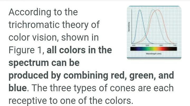 According to the trichromatic theory of color vision-example-1