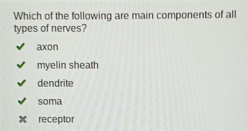 Which of the following are main components of all types of nerves? axon myelin sheath-example-1