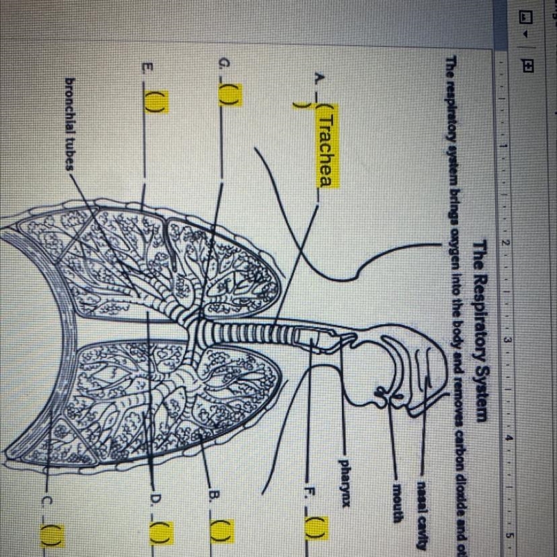 Help please!!!!! ASAP!!-example-1