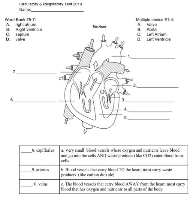 Can someone help me please-example-1