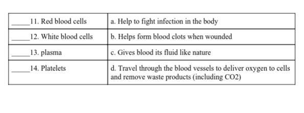 Can someone help me please-example-2