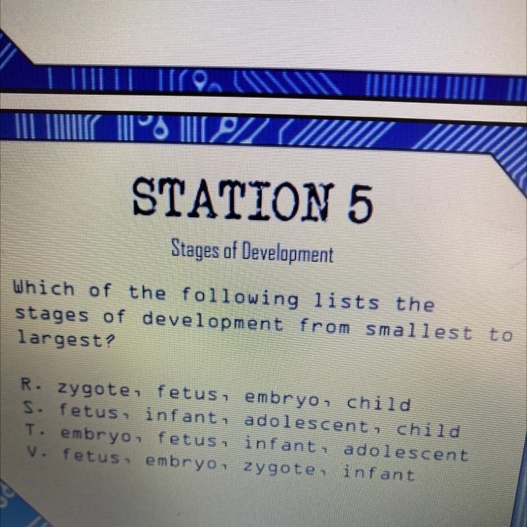 Which of the following lists the stages of development from smallest to largest? R-example-1