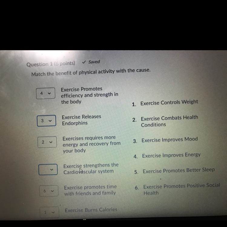 Valci 4 Exercise Promotes efficiency and strength in the body 1. Exercise Controls-example-1