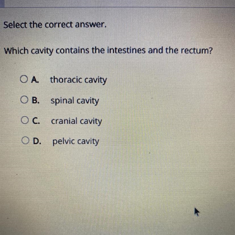 Select the correct answer. Which statement correctly describes the position of the-example-1